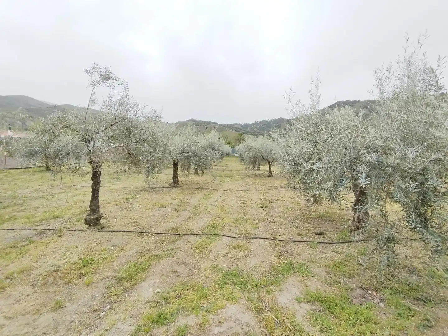 Terreni e lotti in vendita a Carretera Cenes de la Vega, imagen 23