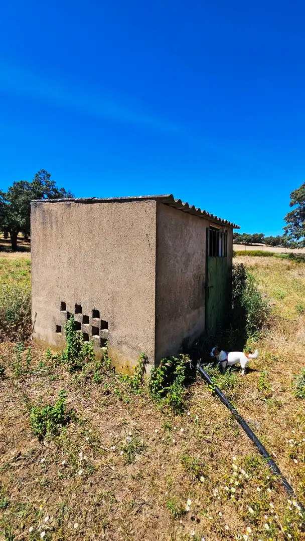 Vista exterior de Casa o chalet en venta en Higuera de la Sierra con Aire acondicionado, Jardín privado y Terraza