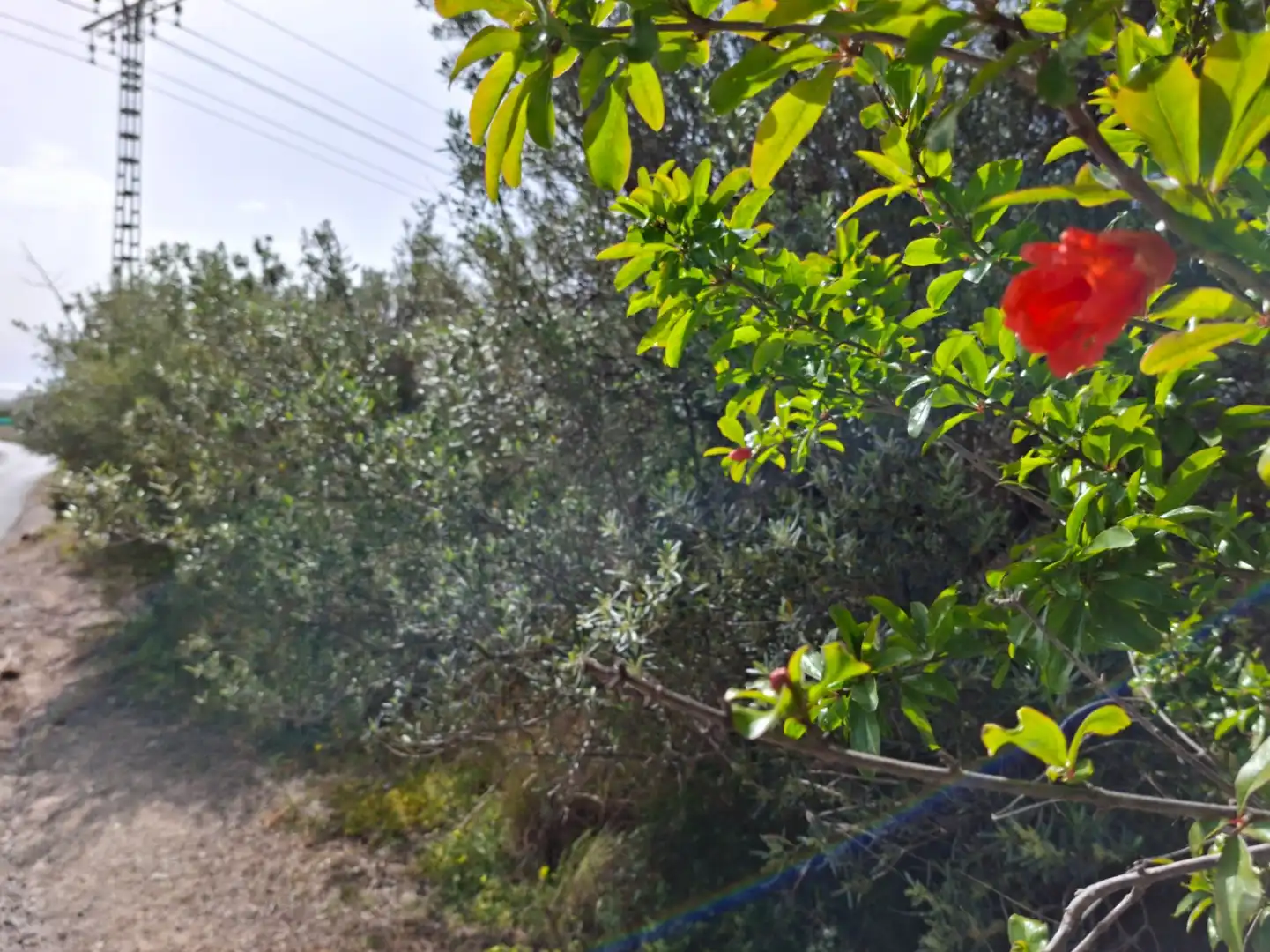 Wohnbaugrundstück zum Verkauf in Altea ciudad, imagen 12