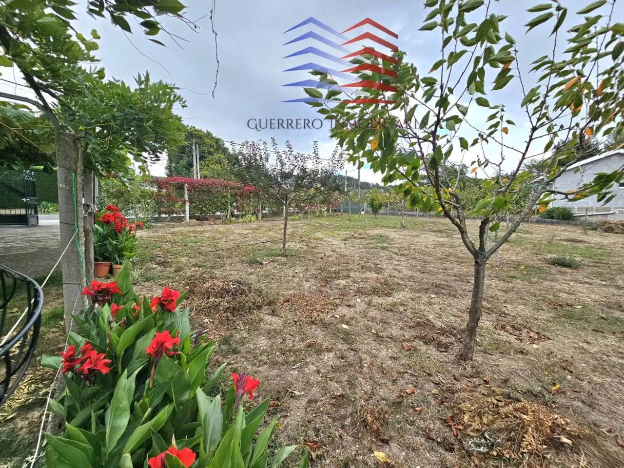 Jardí de Casa o xalet en venda en Celanova amb Jardí privat i Terrassa