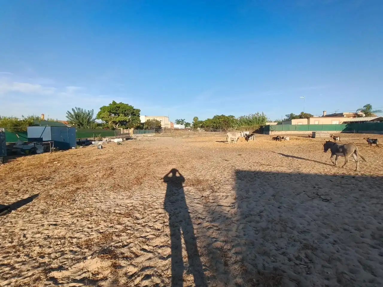 Rural land for sale in Camino de Santo Dios, imagen 5
