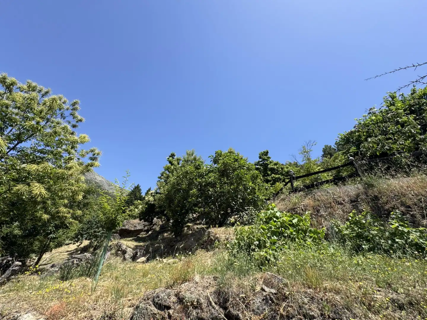 Finca rústica en venta en El Arenal  con Jardín privado