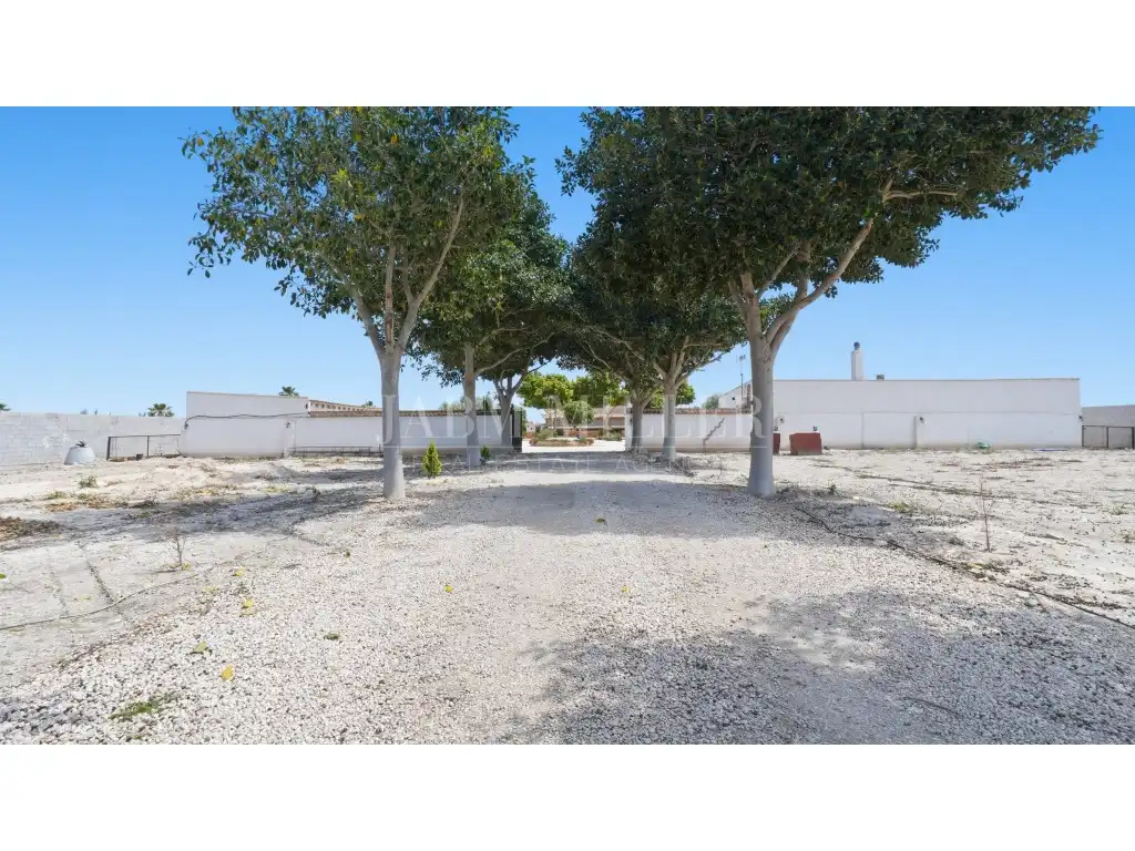 Maison avec jardin à vendre à Dolores, imagen 113