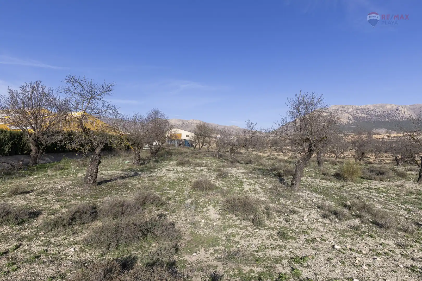 Rural land for sale in Paraje el Vivero 1, imagen 17