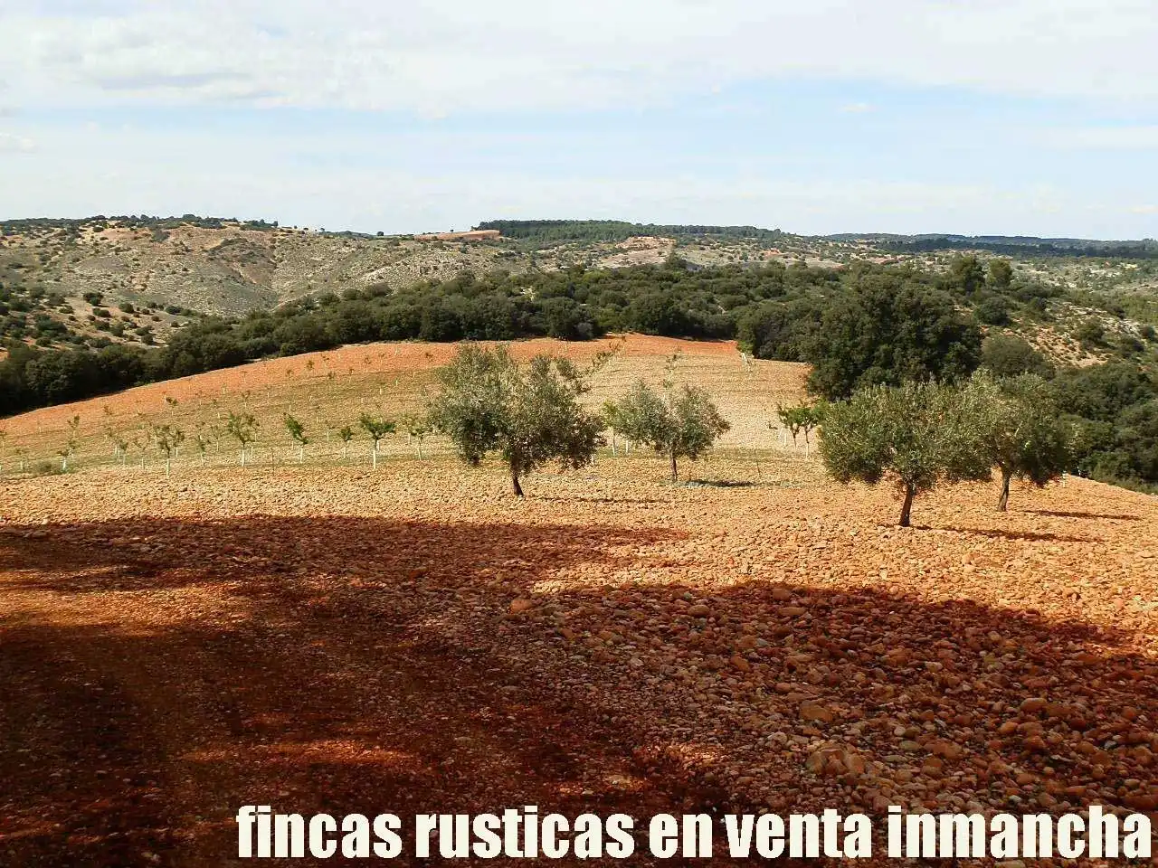 Terreni e lotti in vendita a Balazote, imagen 14