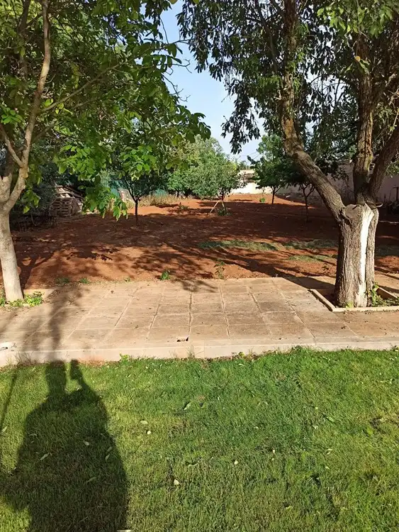 Villa mit Terrasse zum Verkauf in La Poblachuela, imagen 38