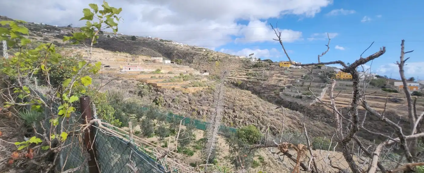 Terreno rustico in vendita a Vial Camino, imagen 26