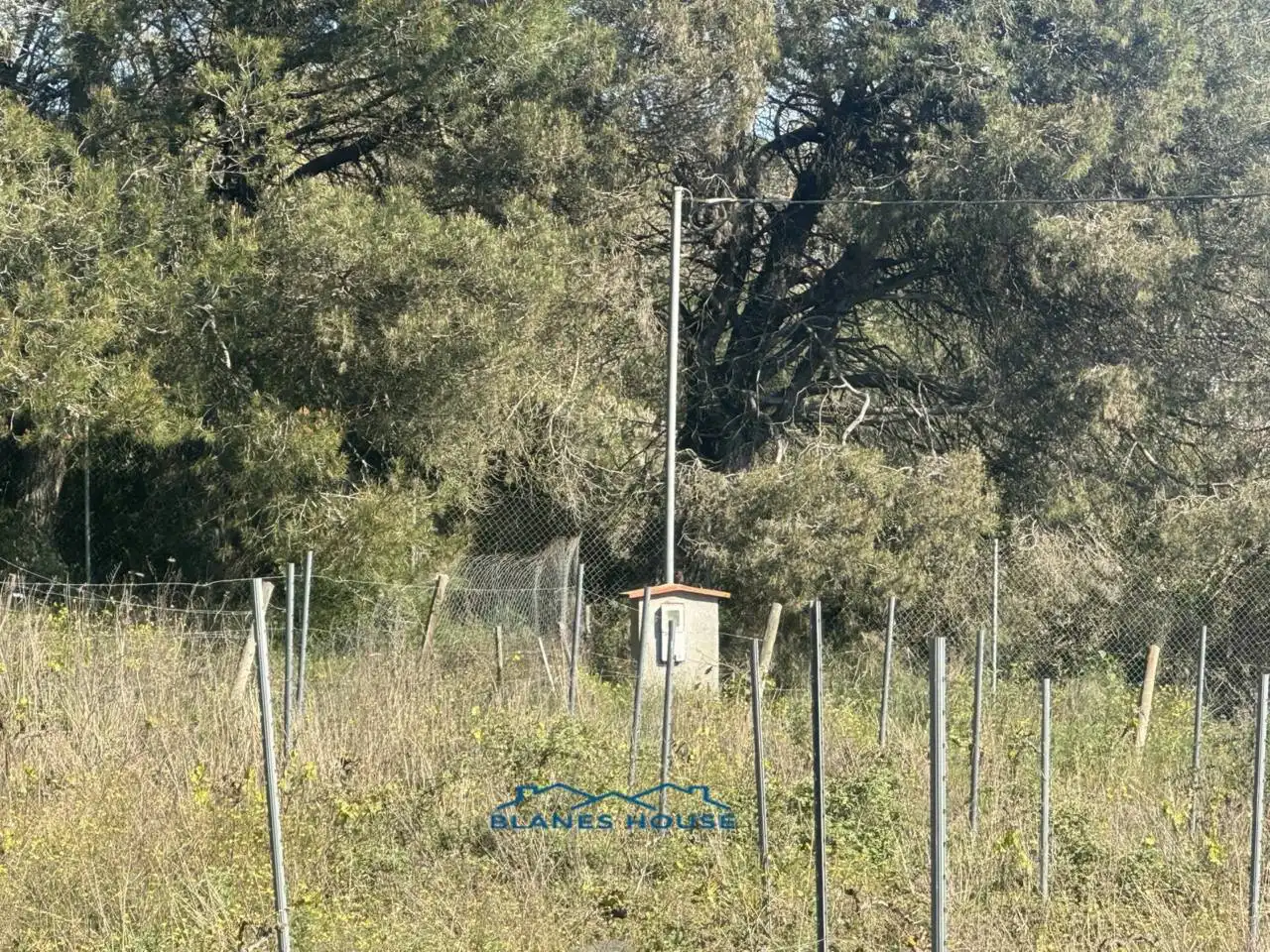 Terreno rustico in vendita a Calle Bosch Rabasa 1, imagen 22