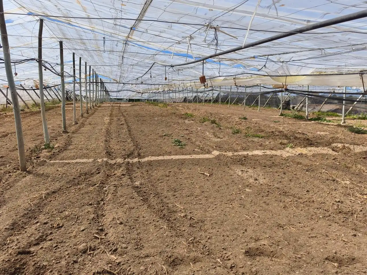Terreno rustico in vendita a Hijuela de María, imagen 3