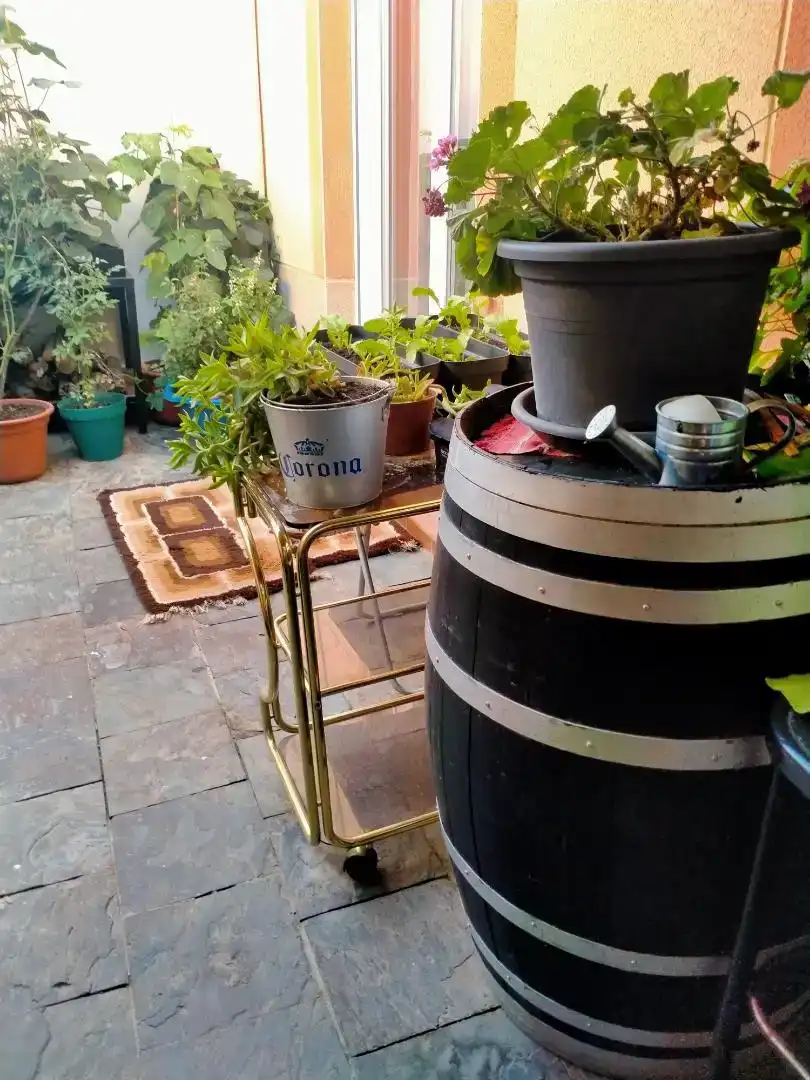 Terraza de Casa o chalet en venta en Malagón