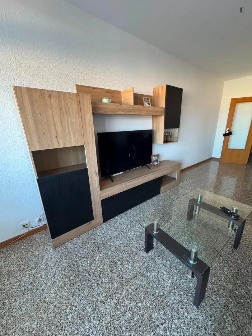Sala de estar de Apartamento para compartir en Sant Andreu
