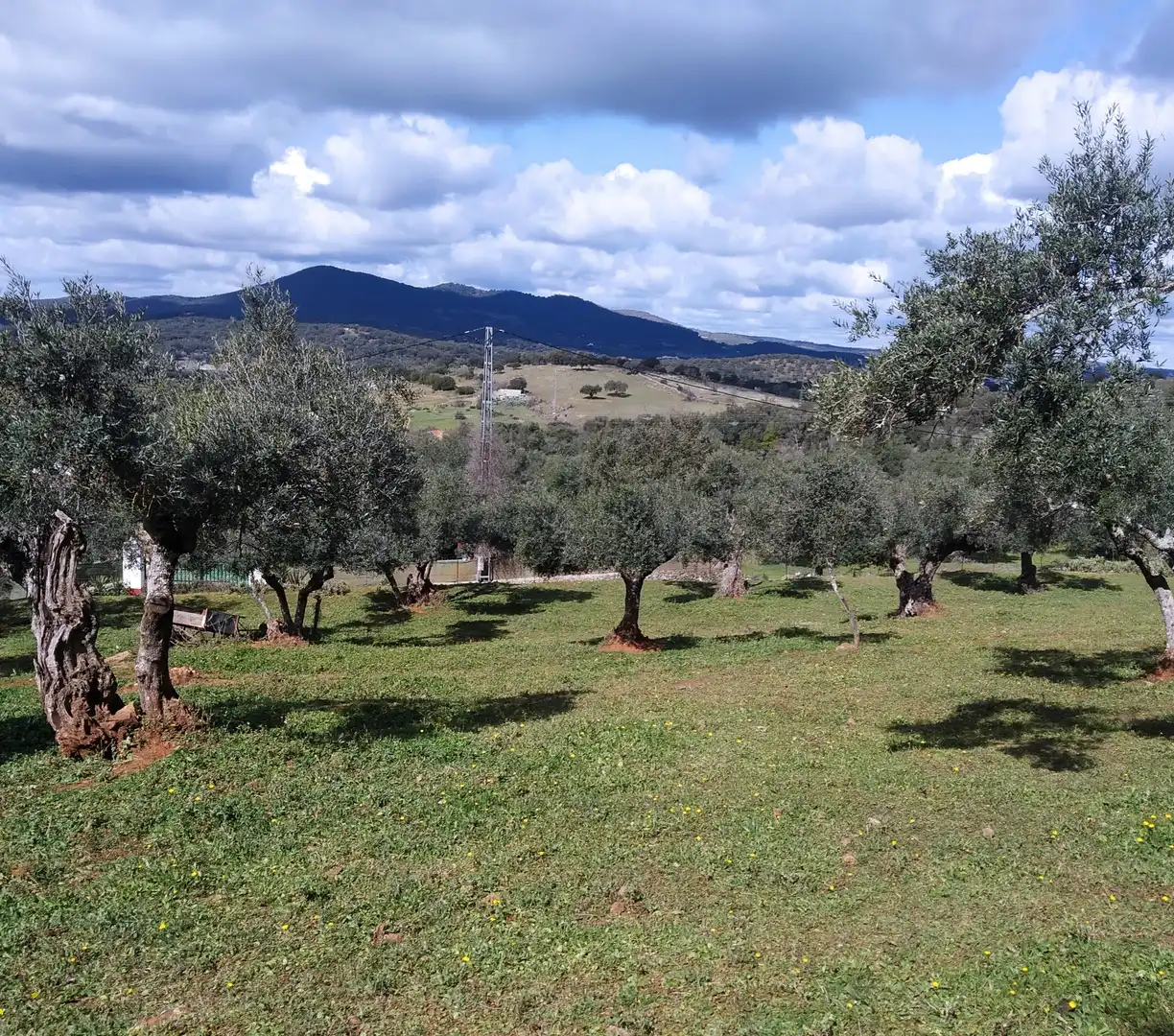 Terreni e lotti in vendita a Jerez de los Caballeros