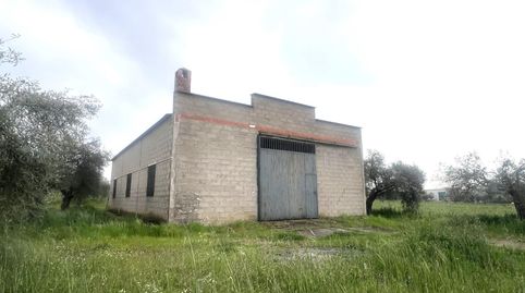 PARCELA CON NAVE EN COTO PERRERO DON BENITO