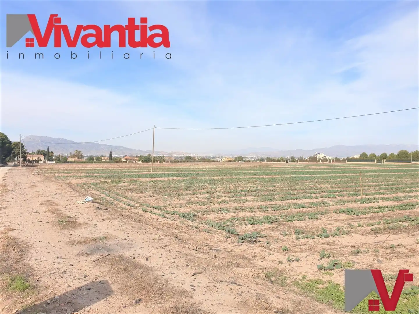 Terreni e lotti in vendita a Pedanías Sur