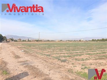 Terreny residencial en venda a Pedanías Sur