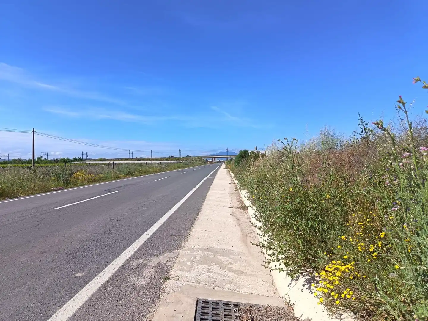 Rustikales Grundstück zum Verkauf in Monforte del Cid, imagen 2