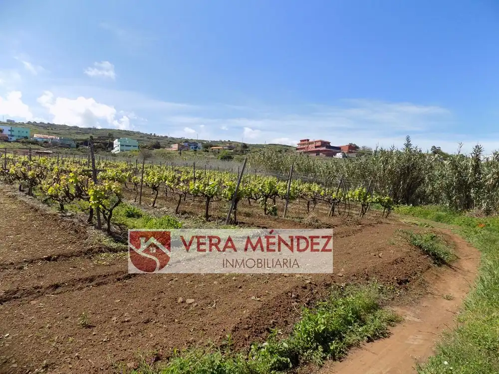 Finca rústica en venta en El Sauzal