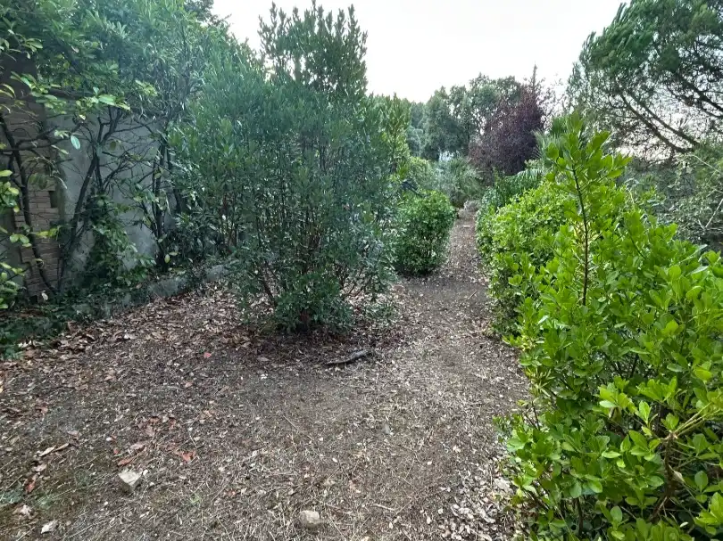 Terreno residencial en venta en Carrer Turó de Monfort 51, imagen 11