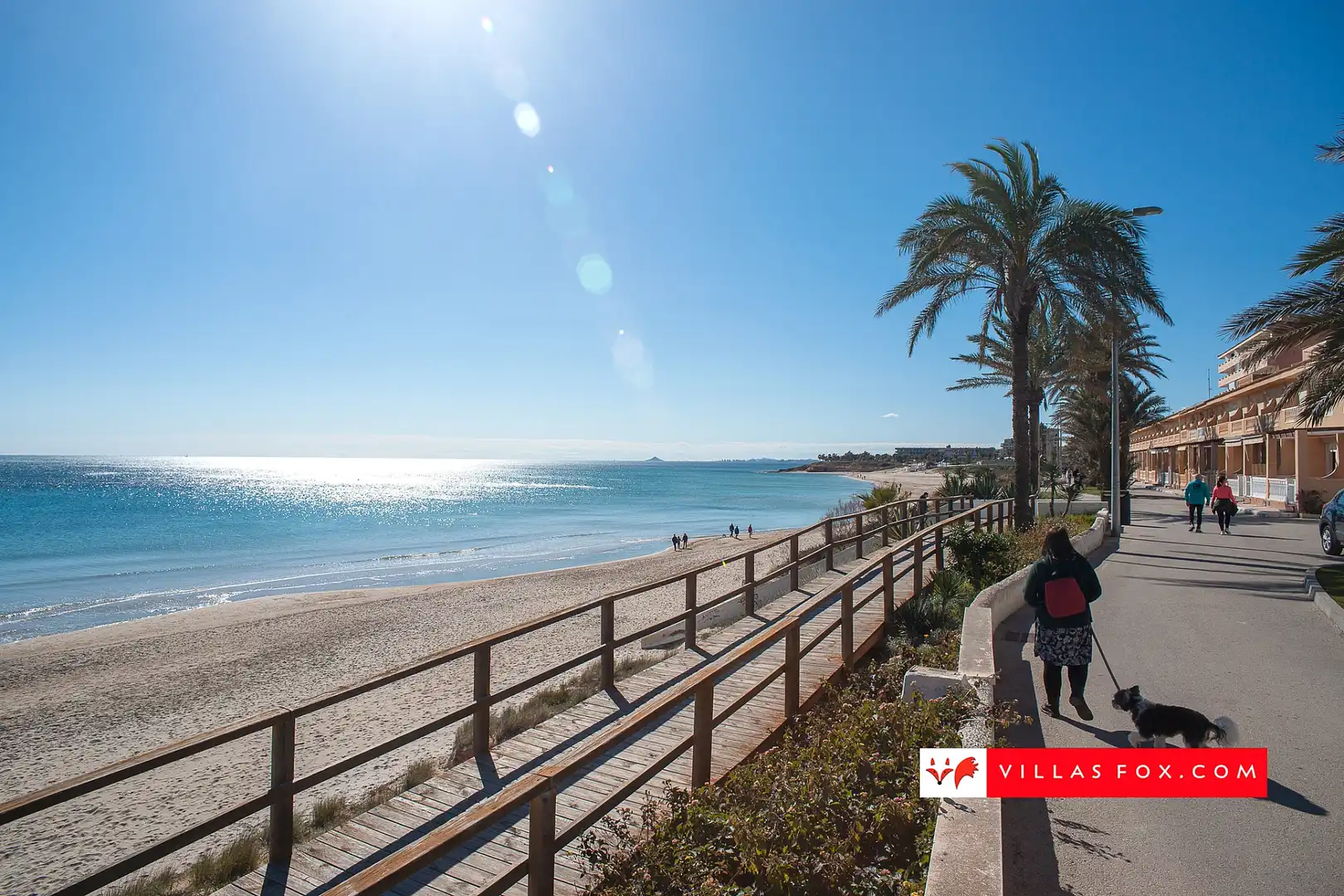 Apartment for sale in San Miguel de Salinas, imagen 39