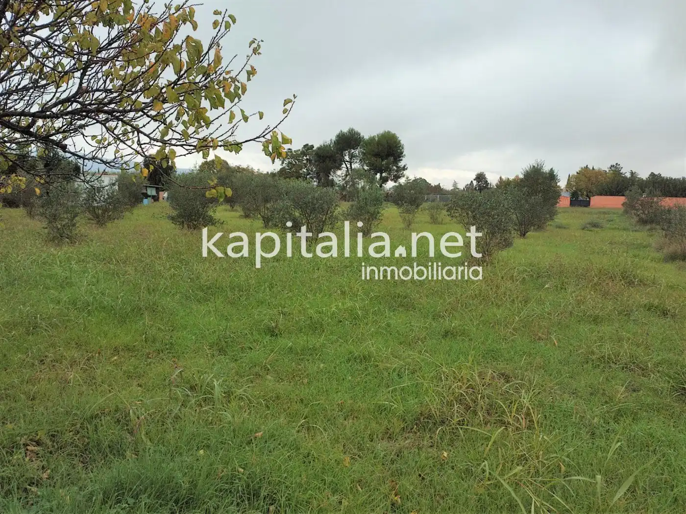 Terrain rustique à vendre à El Llombo, imagen 2