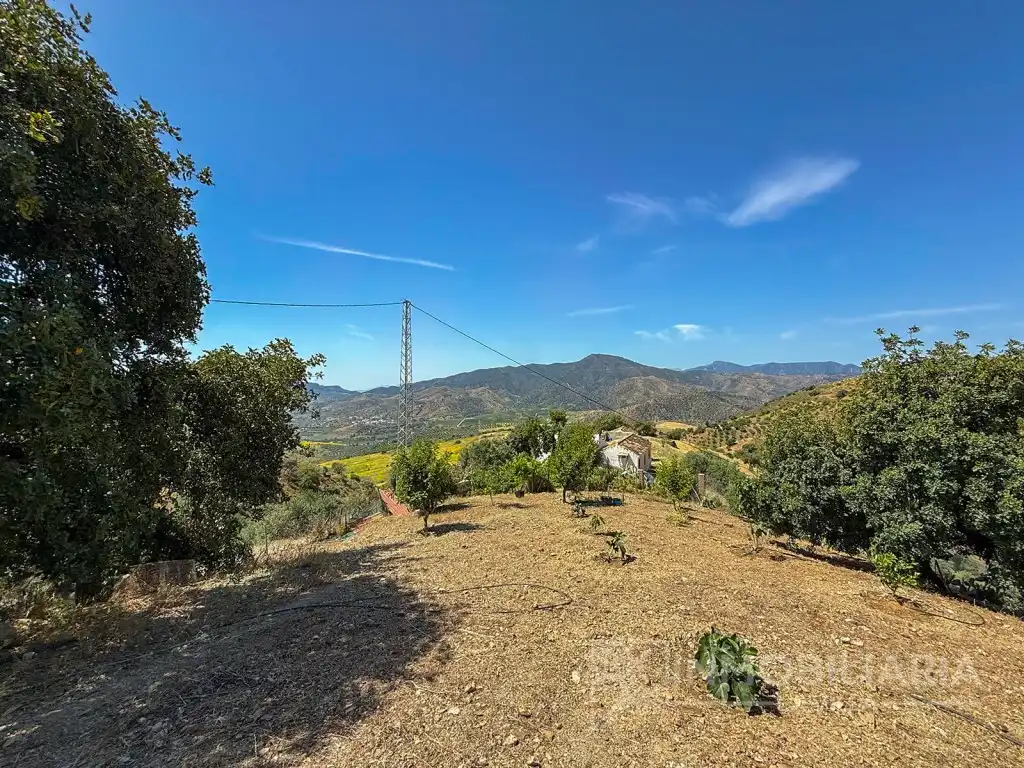 Casa rústica en venta en Poligono 2 Paraje 249 Teja, imagen 32