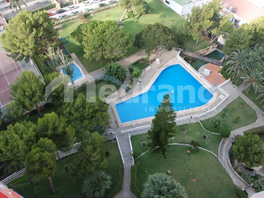 Swimming pool of Study for sale in Benidorm  with Private garden, Terrace and Swimming Pool