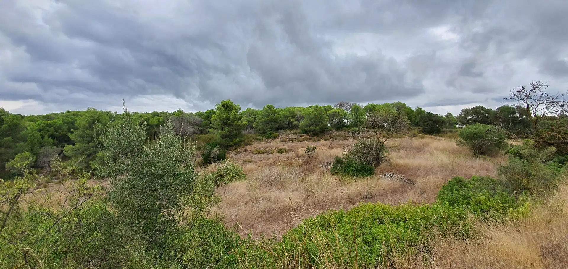 Rustikales Grundstück zum Verkauf in El Pinell de Brai, imagen 18