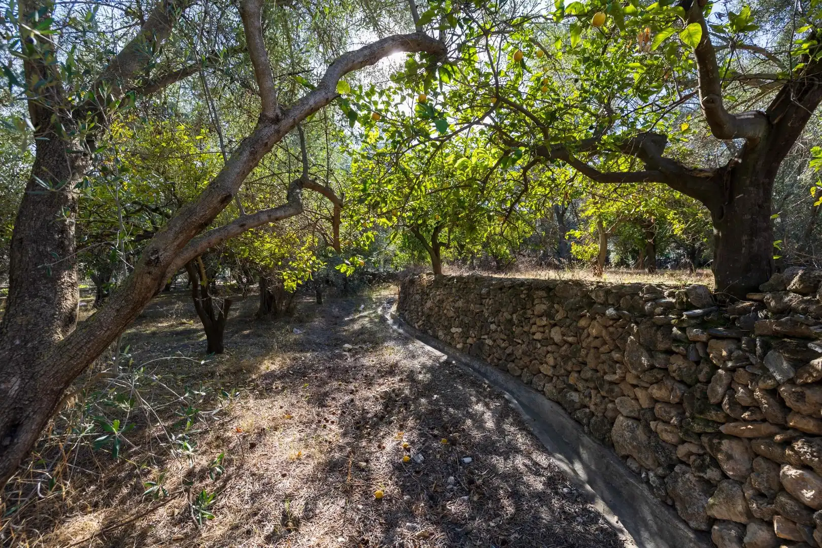 Exterior view of Land for sale in Lecrín