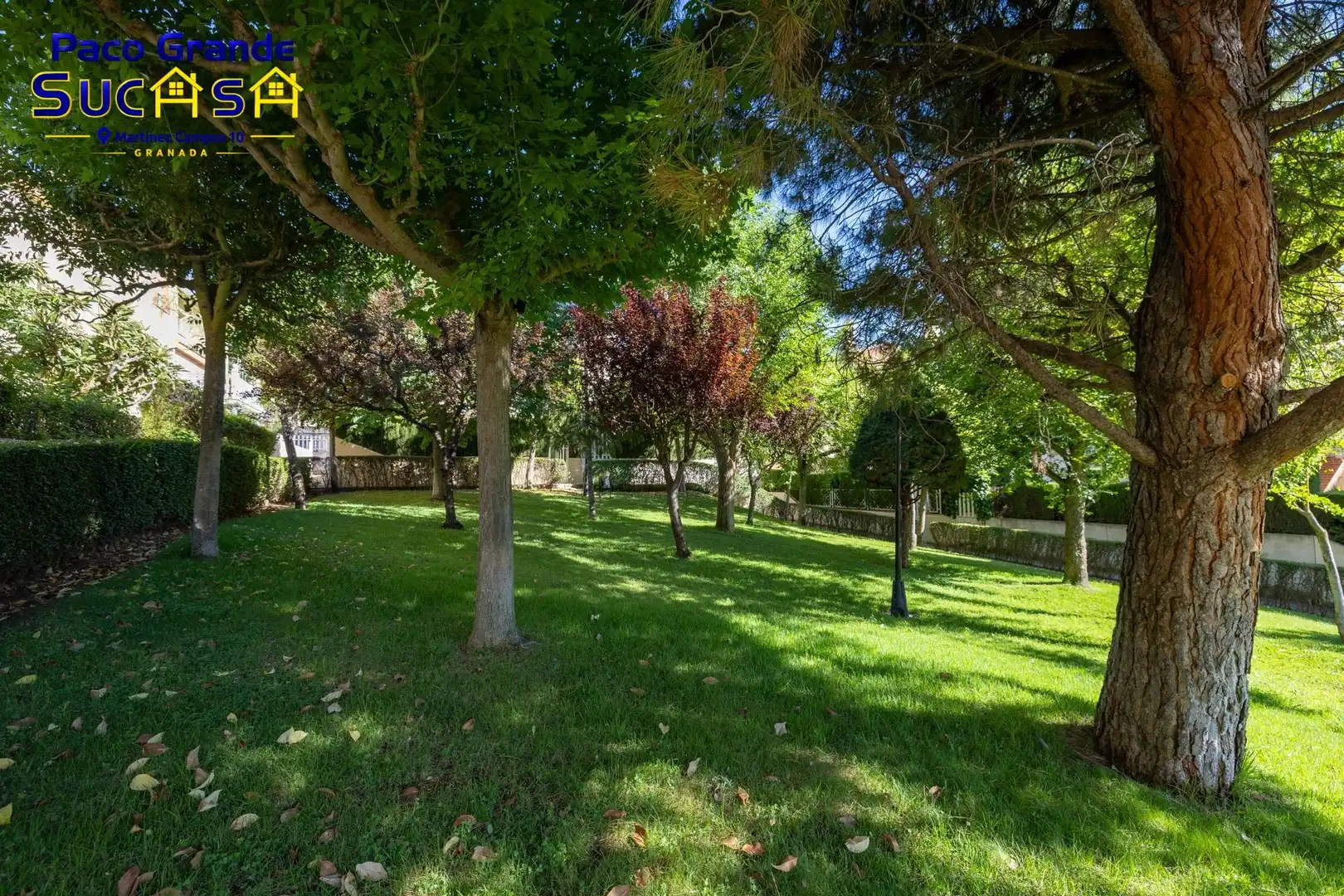 Home with pool for sale in Calle DR FLEMING, imagen 48