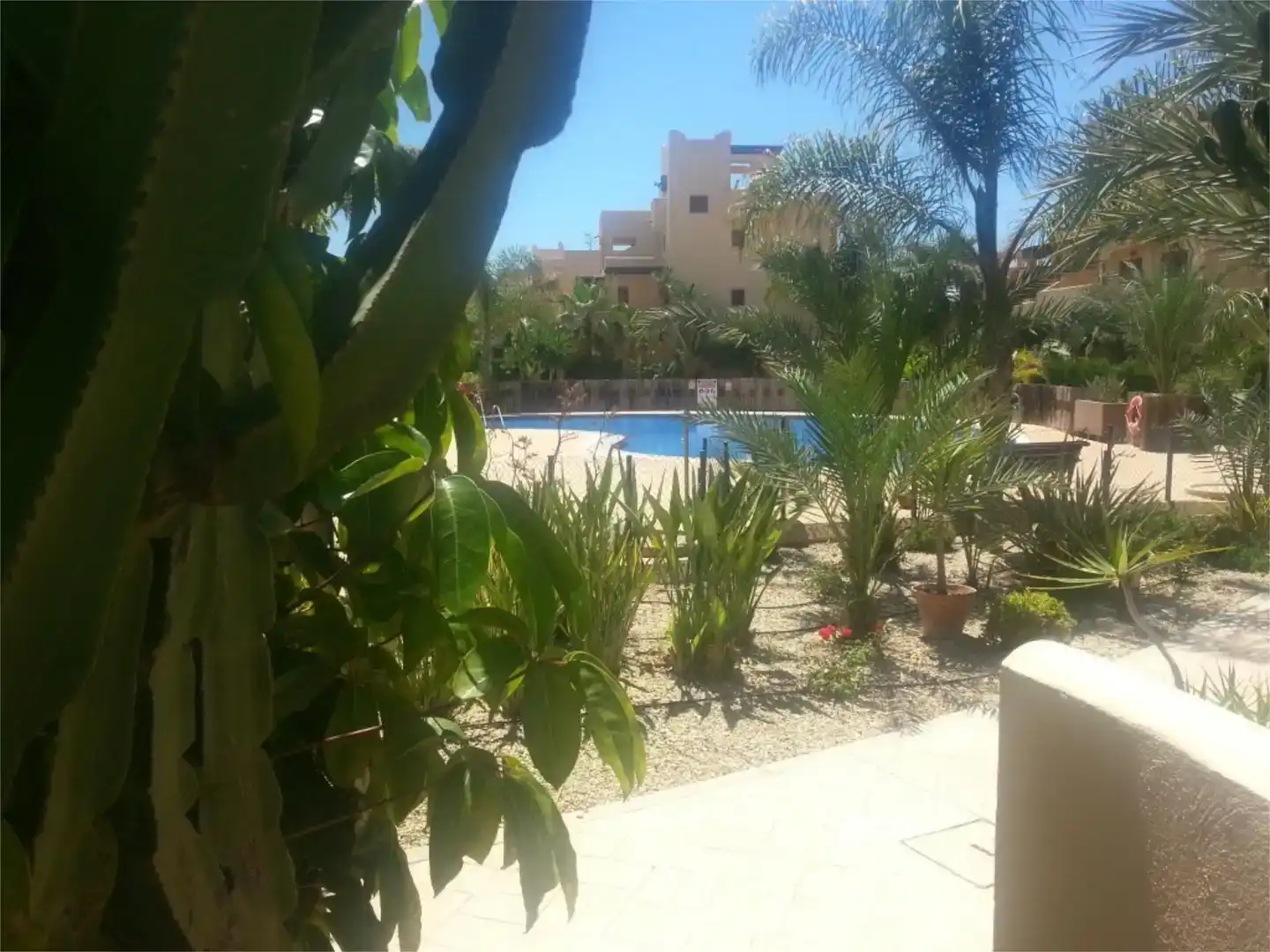 Schwimmbecken von Wohnung zur Miete in Puerto Vera