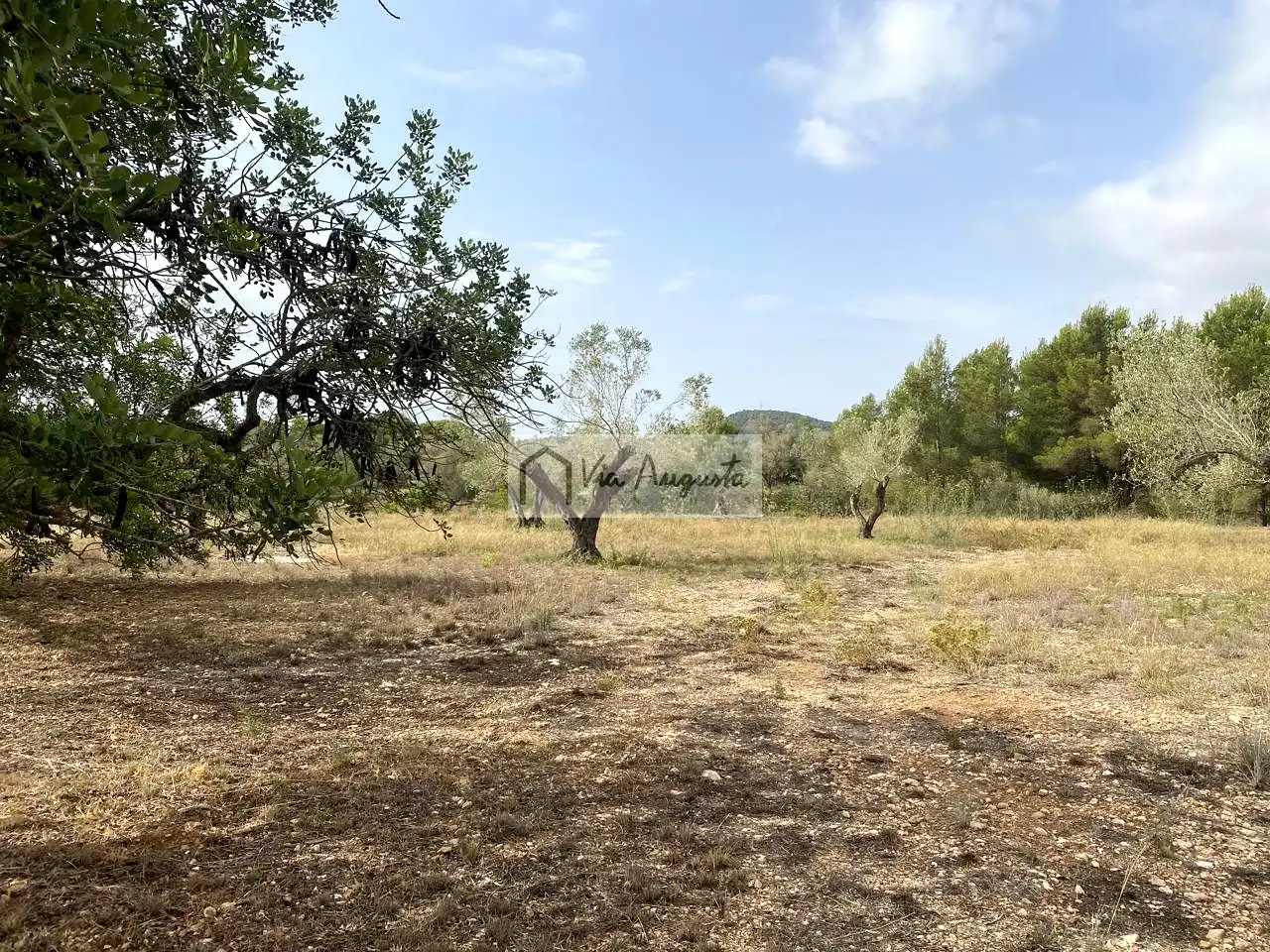 Terreno rustico in vendita a Mas de Baralluga, imagen 10