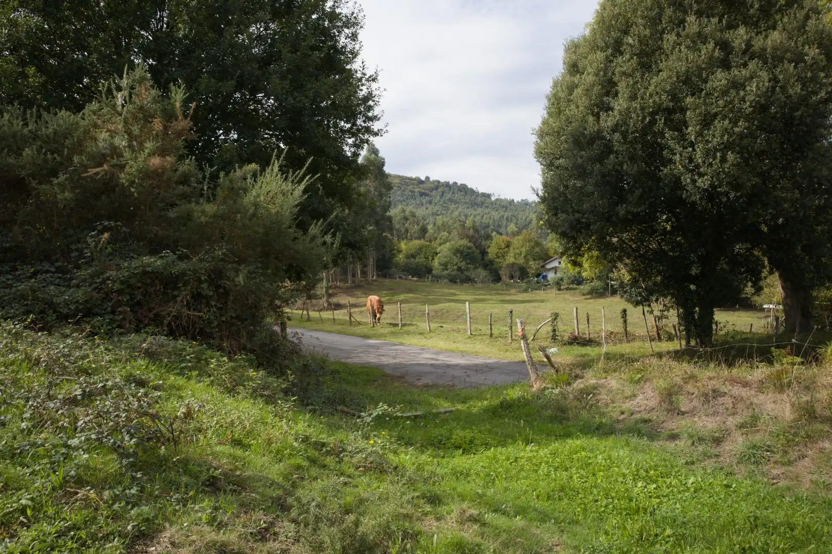 Rural land for sale in Barrio Aes, imagen 26