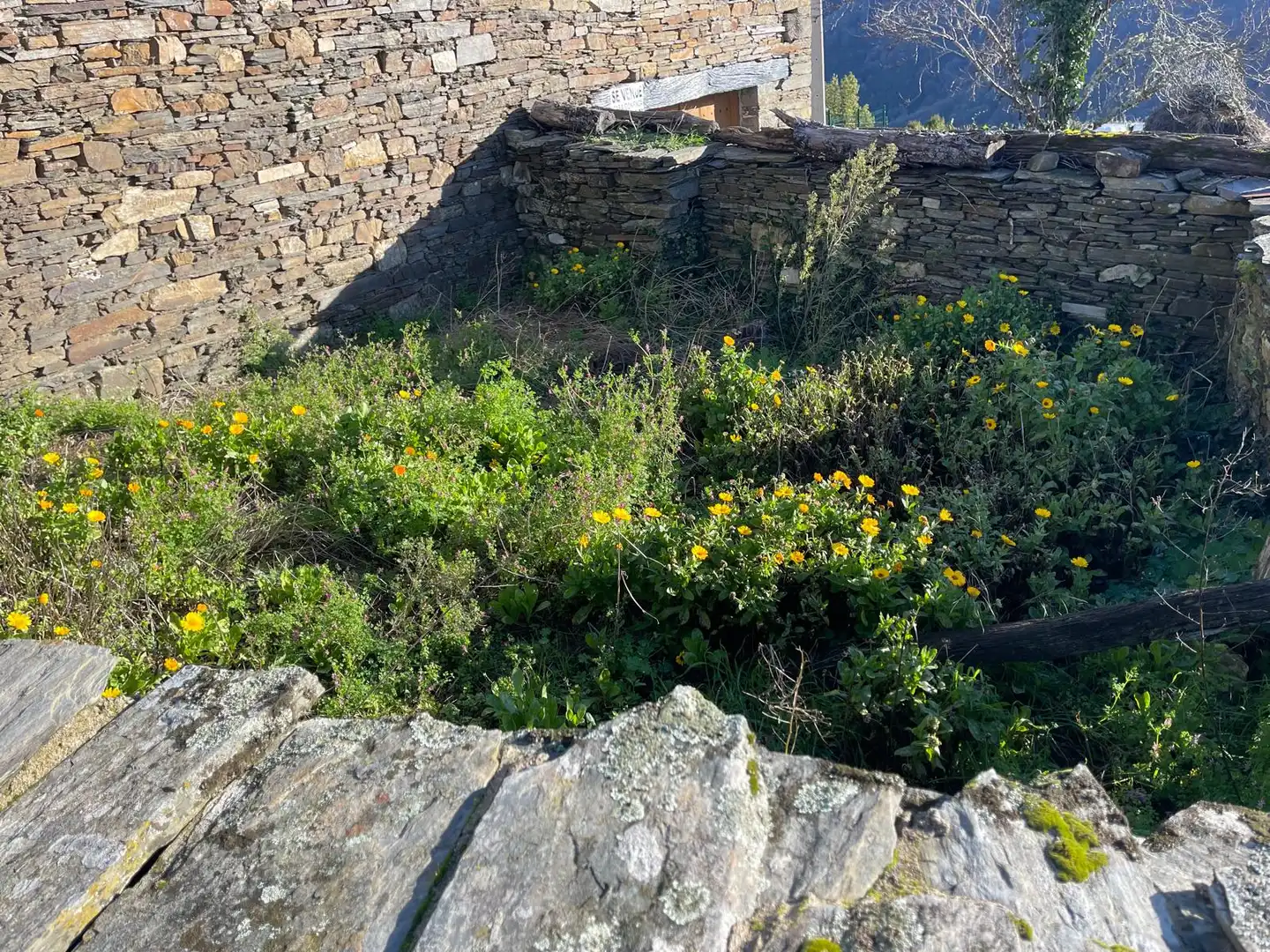 Jardín de Casa o chalet en venta en Grandas de Salime