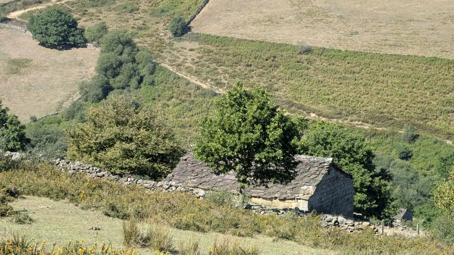 Casa rústica en venda a EL ROSARIO, imagen 21