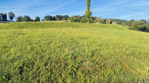 Parc. Rúst. en venta en Nates., immagine 2
