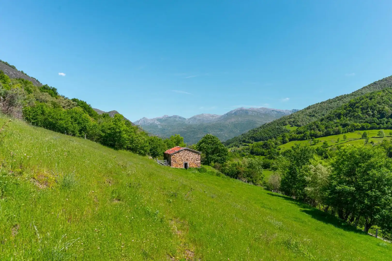 Casa o chalet en venta en Quirós