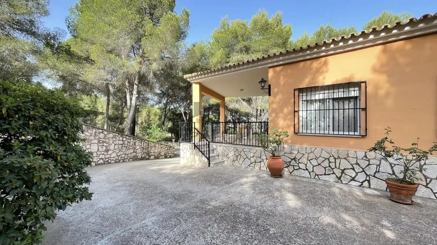 Vista exterior de Finca rústica en venta en Carcaixent con Jardín privado, Terraza y Trastero