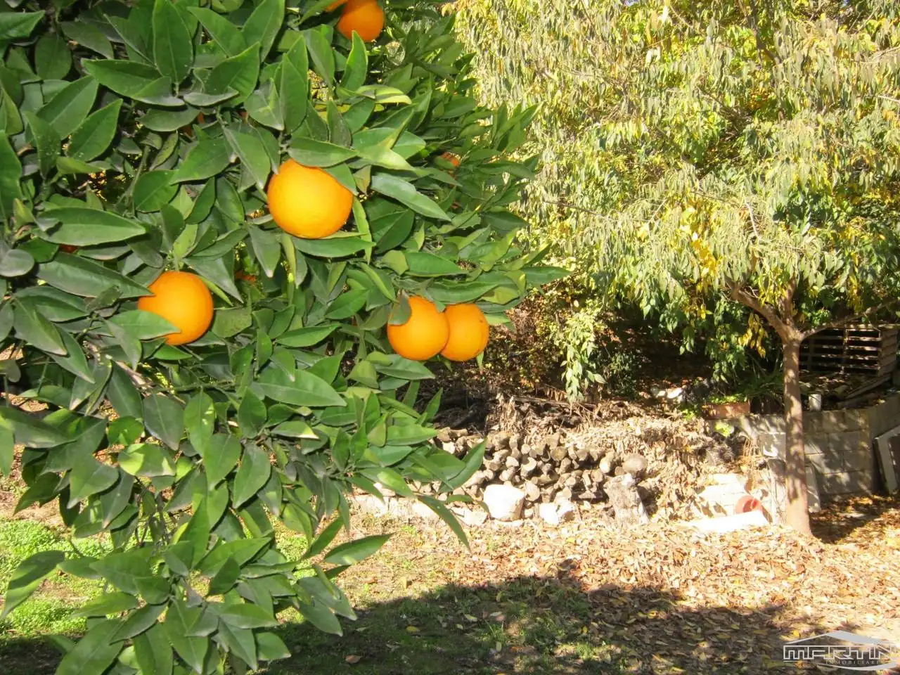 Jardí de Casa o xalet en venda en Carcabuey amb Terrassa, Traster i Piscina