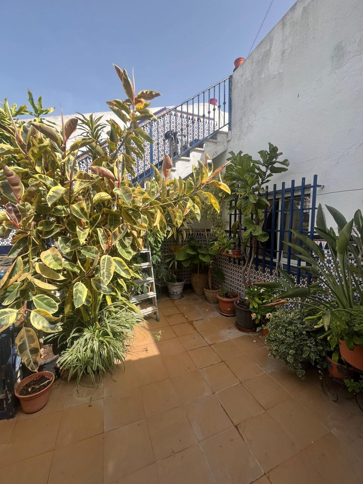 Garden of House or chalet for sale in Chiclana de la Frontera  with Air Conditioner and Storage room