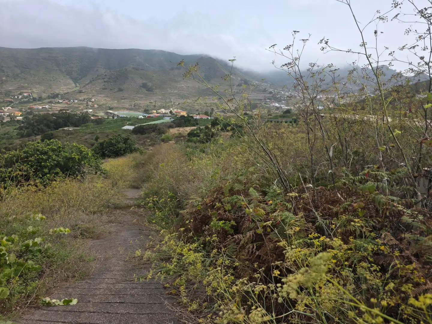 Rural land for sale in Camino las Peñuelas 11, imagen 4