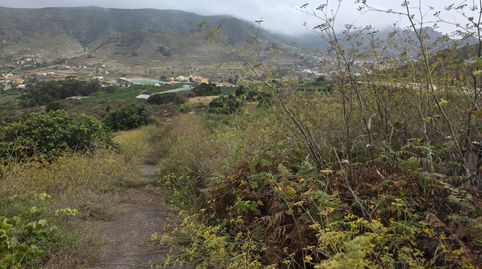 Foto 4 von Grundstücke zum Verkauf in Camino las Peñuelas, 11, Tegueste, Santa Cruz de Tenerife