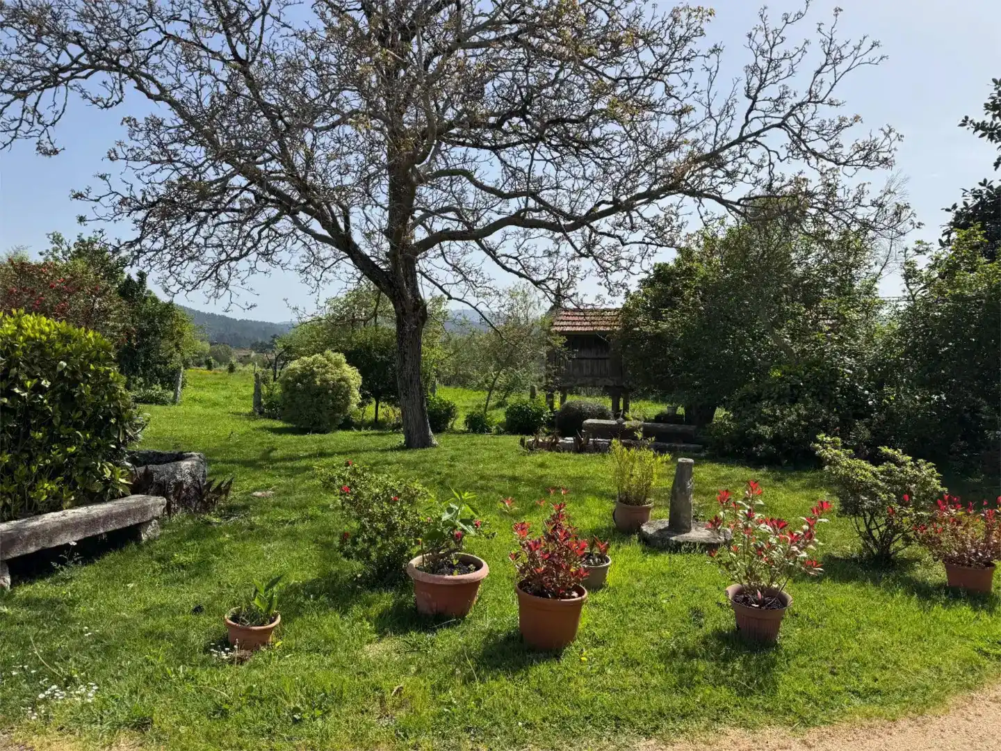 Jardí de Casa o xalet en venda en Meis