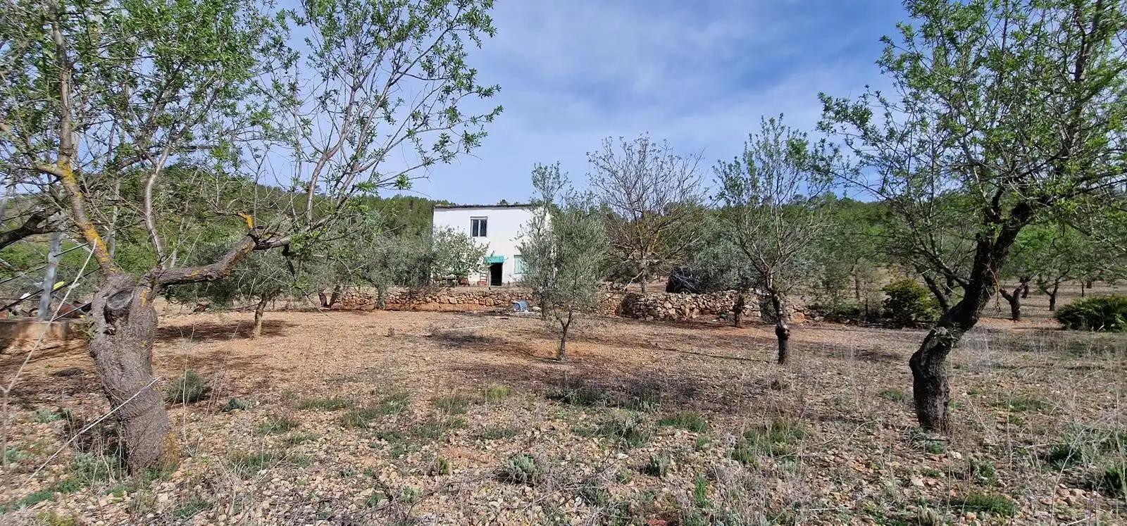 Casa rústica en venta en Cortes de Pallás, imagen 33