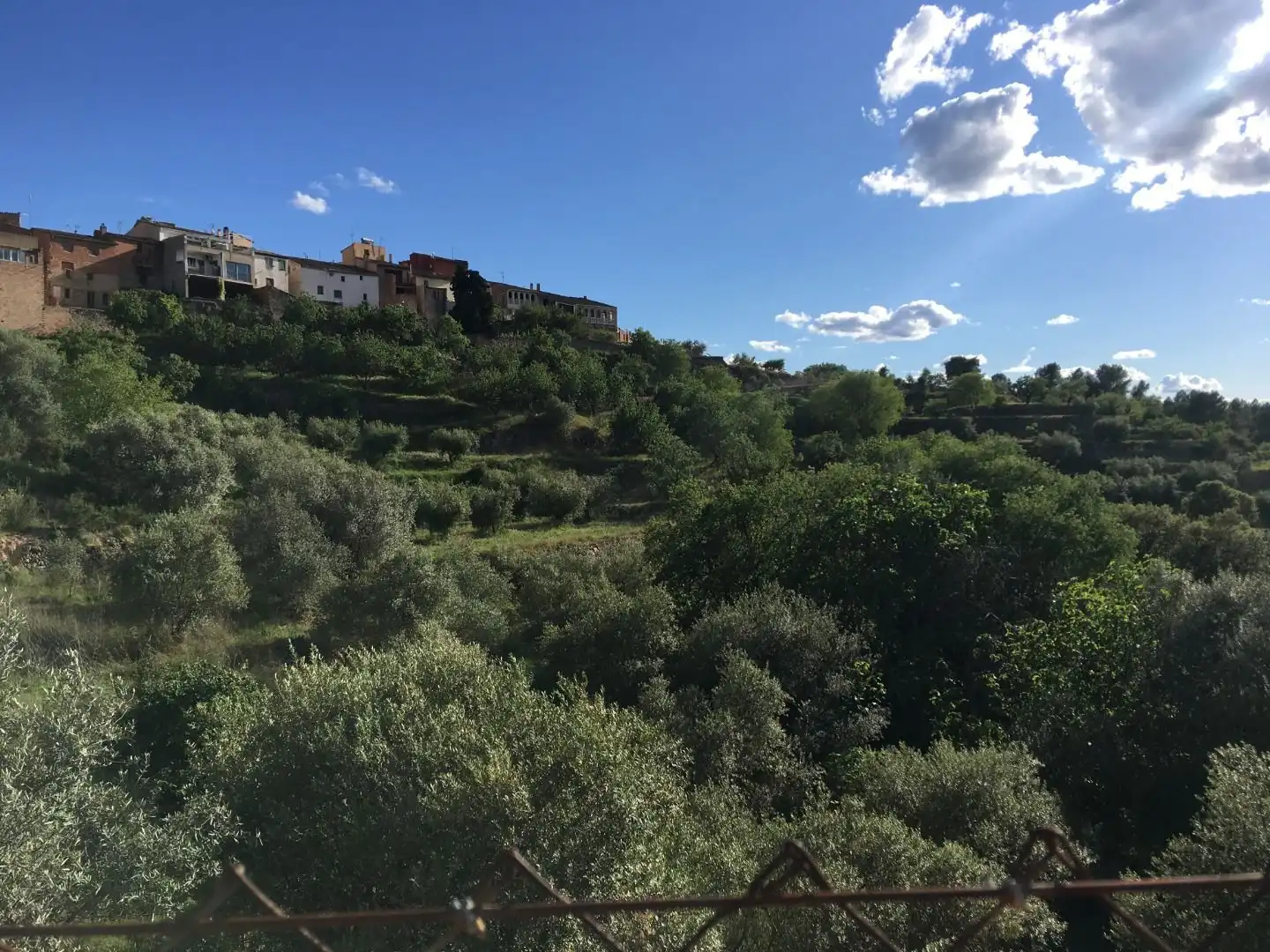 Garden of Houses for sale in Els Guiamets