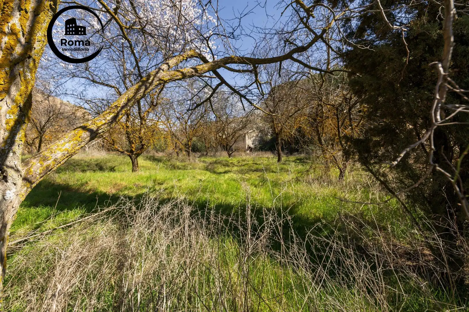 Lands and plots for sale in Albaicín, imagen 16