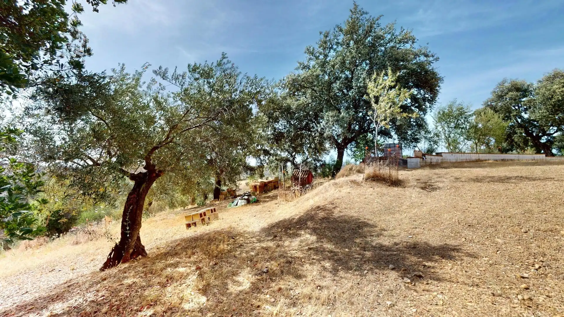 Houses for sale in Montoro  with Private garden and Terrace