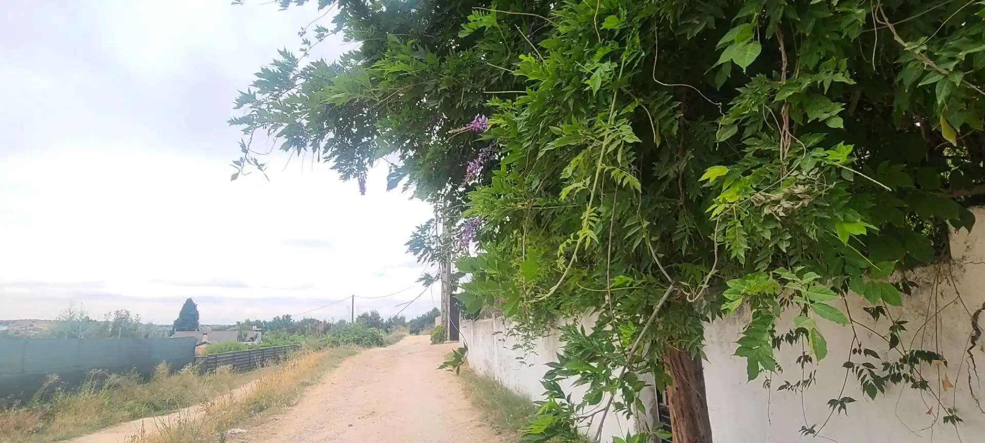 Casa o xalet en venda en Villaviciosa de Odón