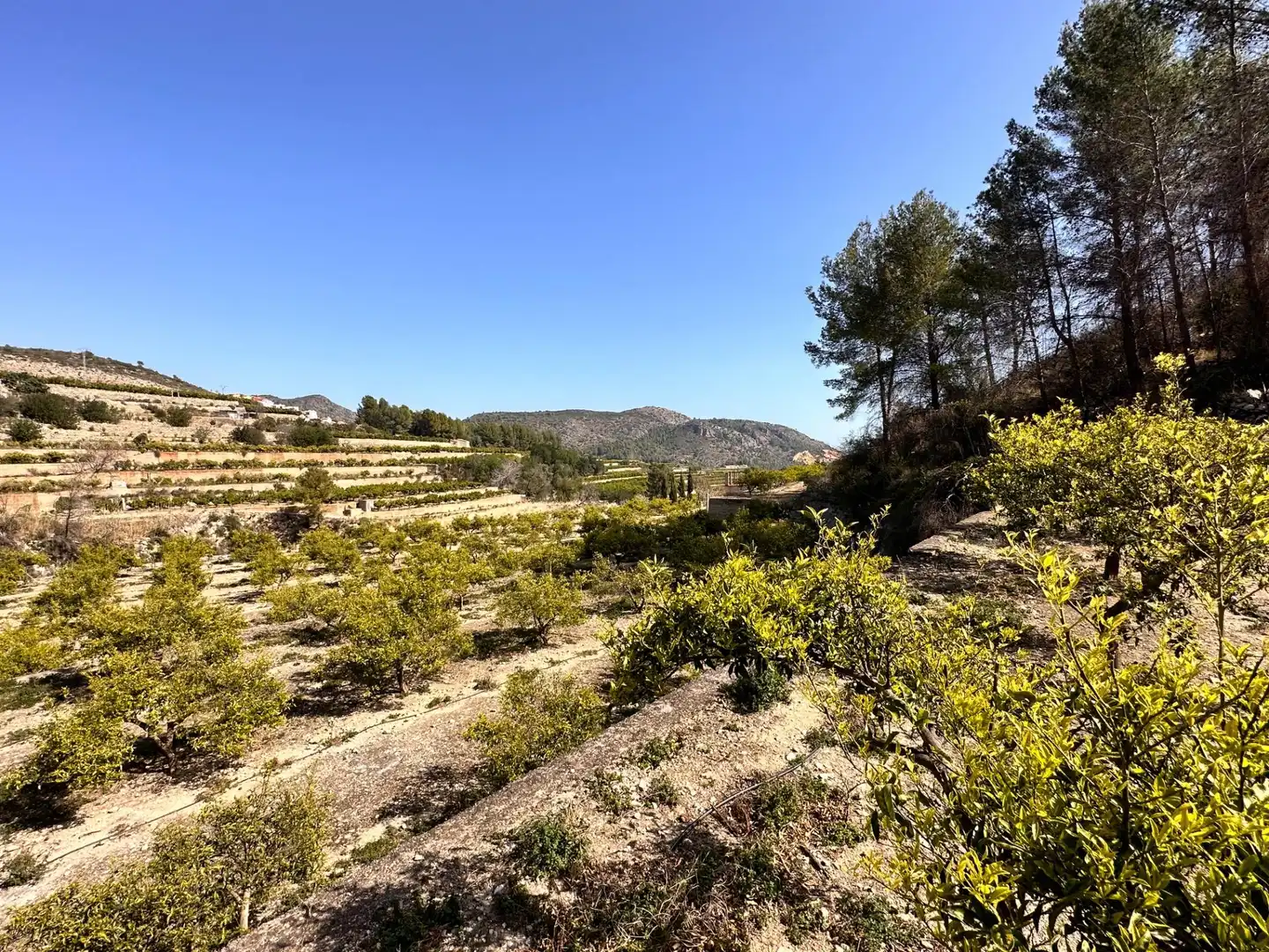 Residencial en venta en L'Atzúbia