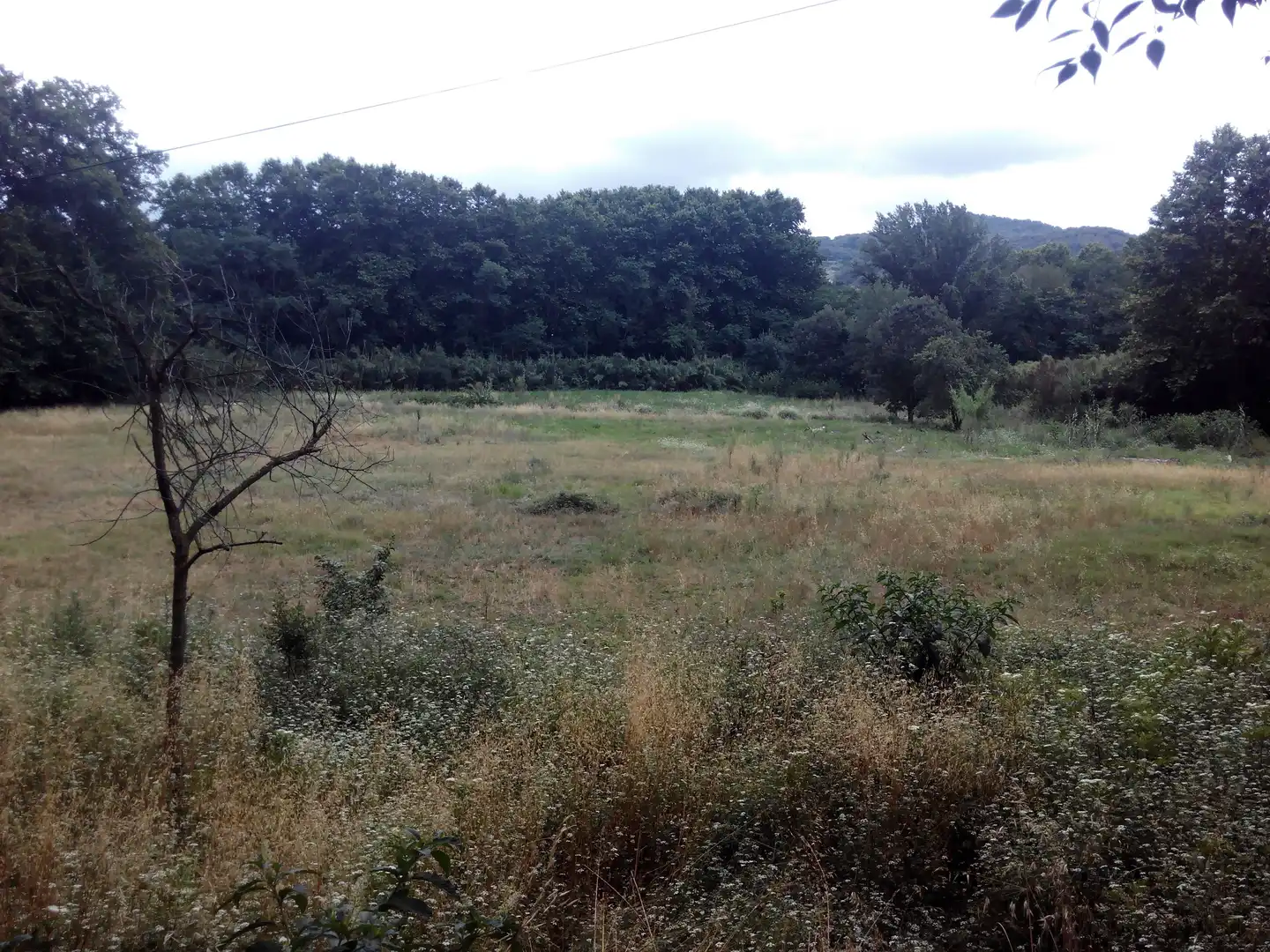 Finca rústica en venta en Sant Celoni