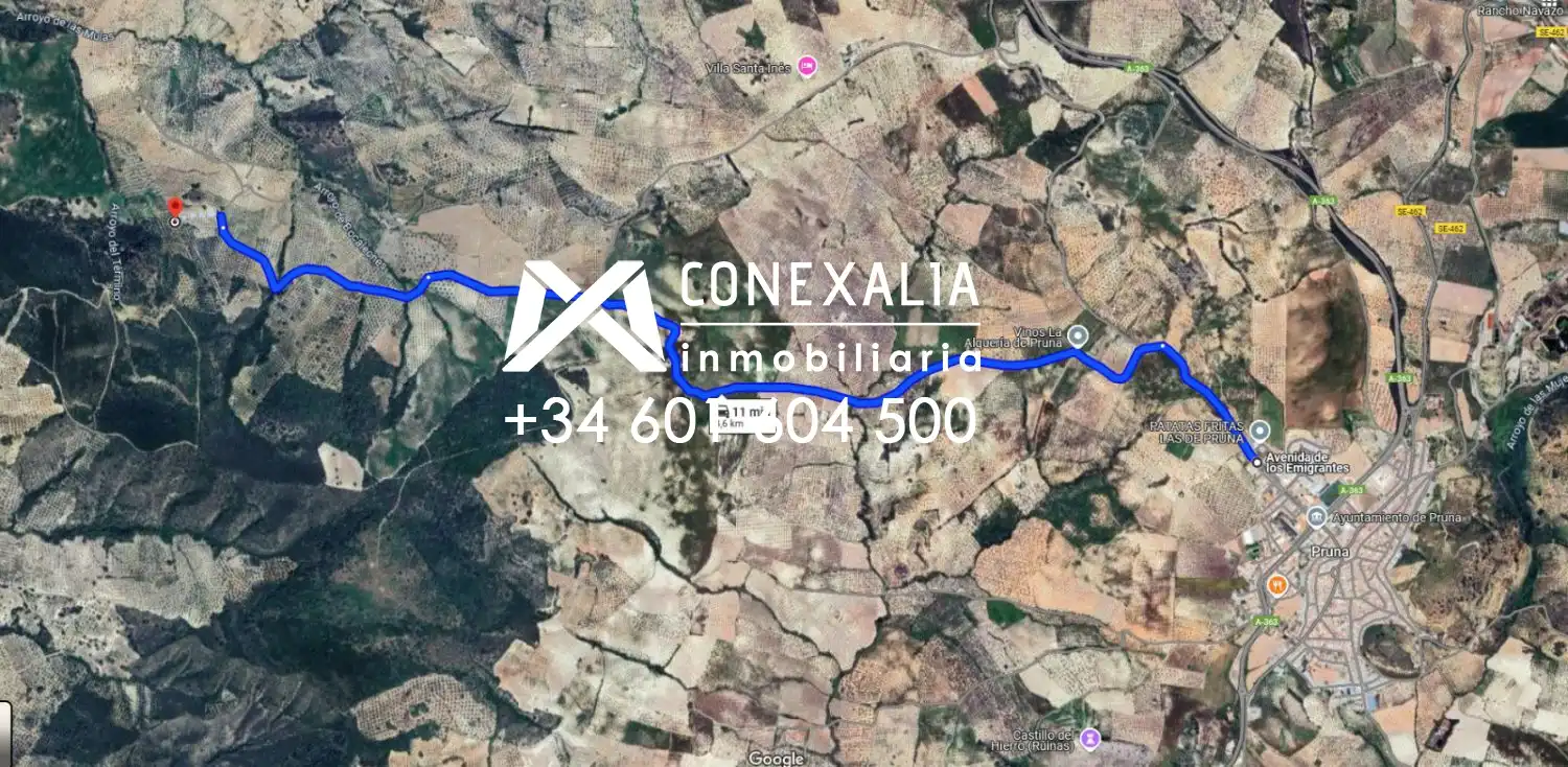 Finca rústica en venta en Pruna